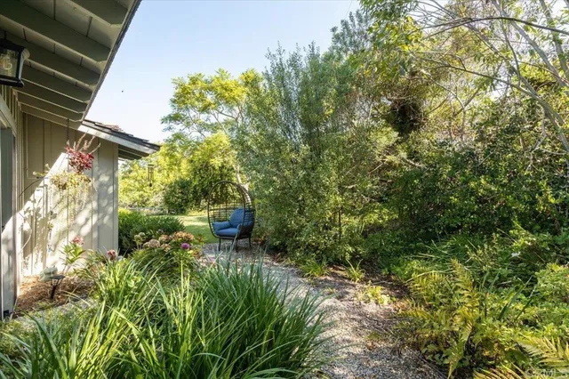 a view of backyard of house