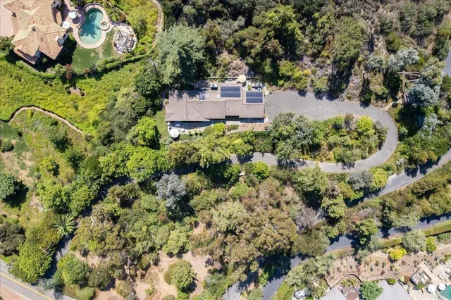 view of a bunch of plants and trees
