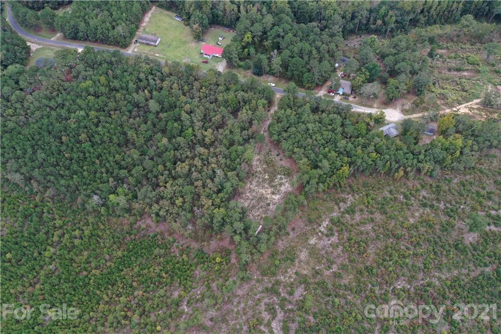 0 Sandy Grove Rockingham, NC 28379 - Photo 11 of 13 a view of a tree with a wooden fence
