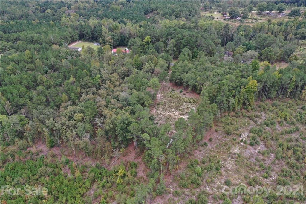 0 Sandy Grove Rockingham, NC 28379 - Photo 12 of 13 a view of a forest with a street