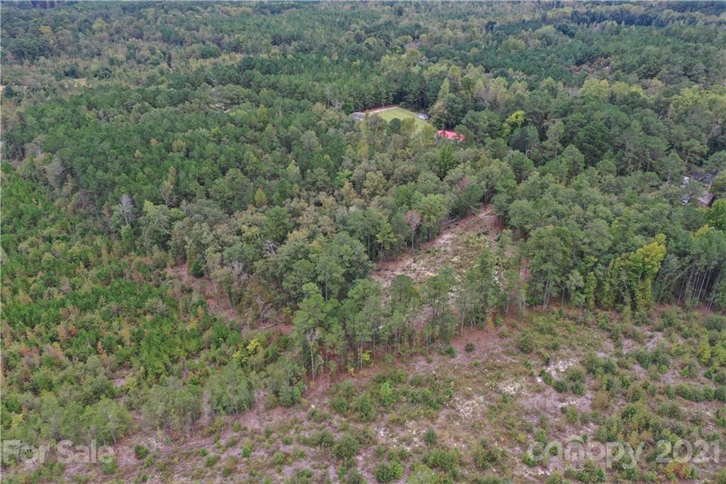 0 Sandy Grove Rockingham, NC 28379 - Photo 13 of 13 a view of a forest with trees and houses