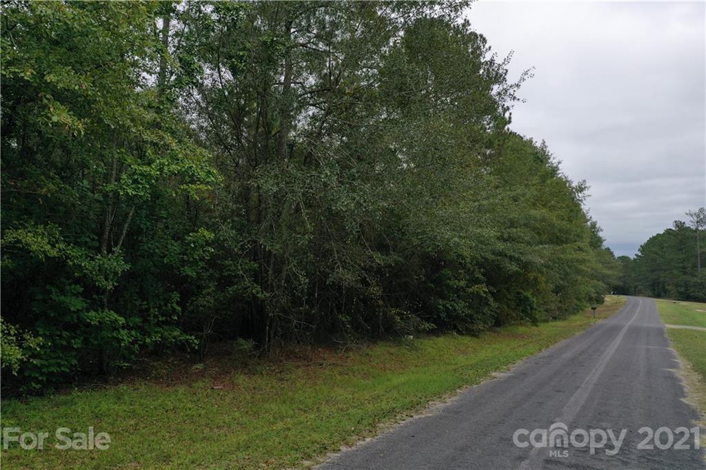 0 Sandy Grove Rockingham, NC 28379 - Photo 3 of 13 a view of a street