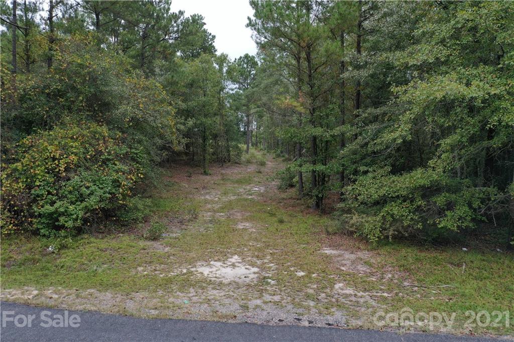 0 Sandy Grove Rockingham, NC 28379 - Photo 4 of 13 a view of a forest with trees in the background
