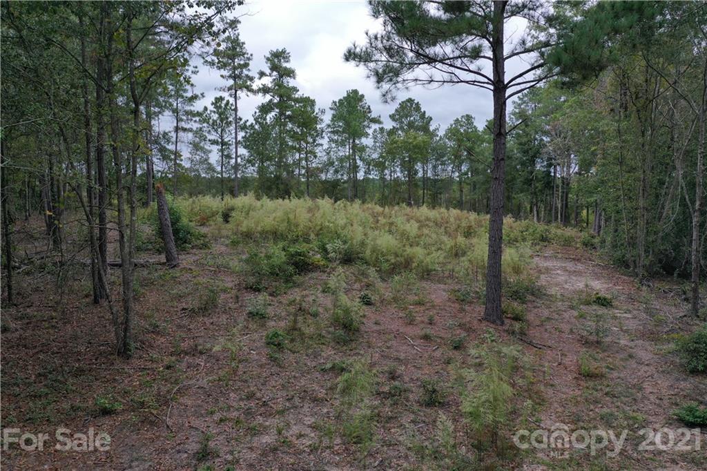 0 Sandy Grove Rockingham, NC 28379 - Photo 5 of 13 a view of a lake with a forest