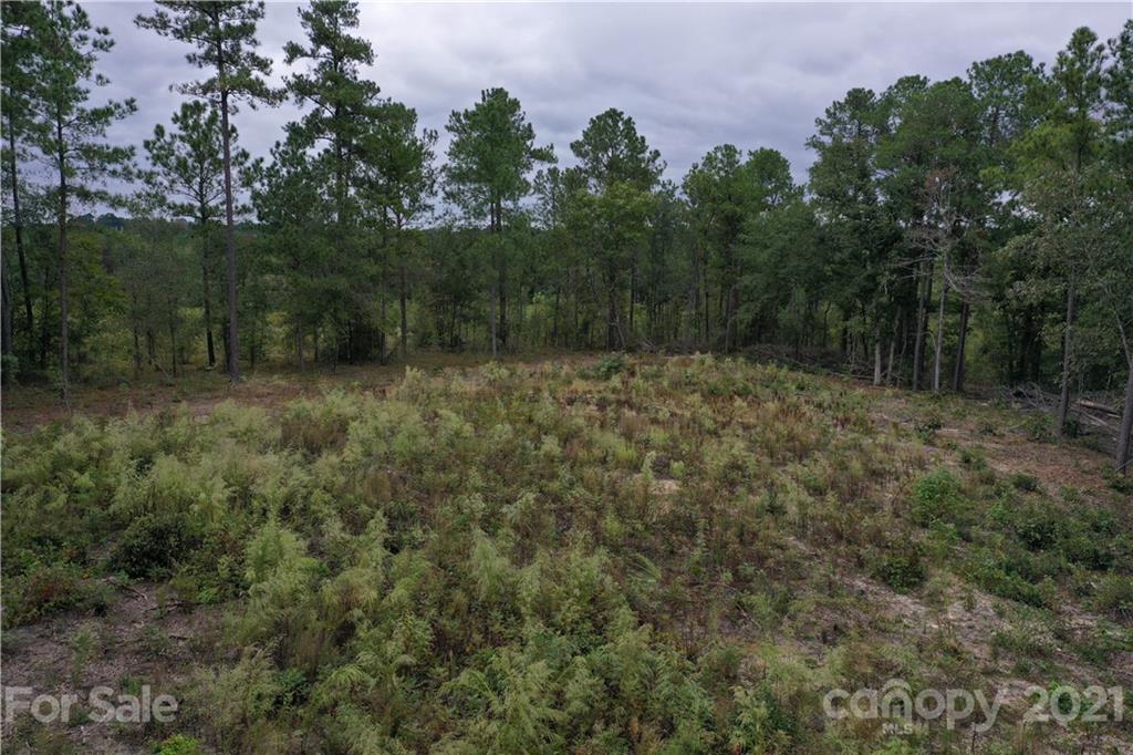 0 Sandy Grove Rockingham, NC 28379 - Photo 6 of 13 a big yard with lots of green space and trees