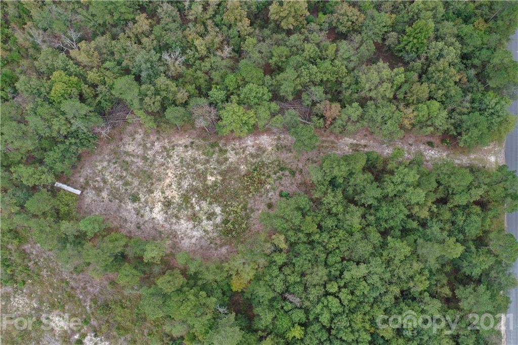 0 Sandy Grove Rockingham, NC 28379 - Photo 7 of 13 a view of a forest with trees in the background
