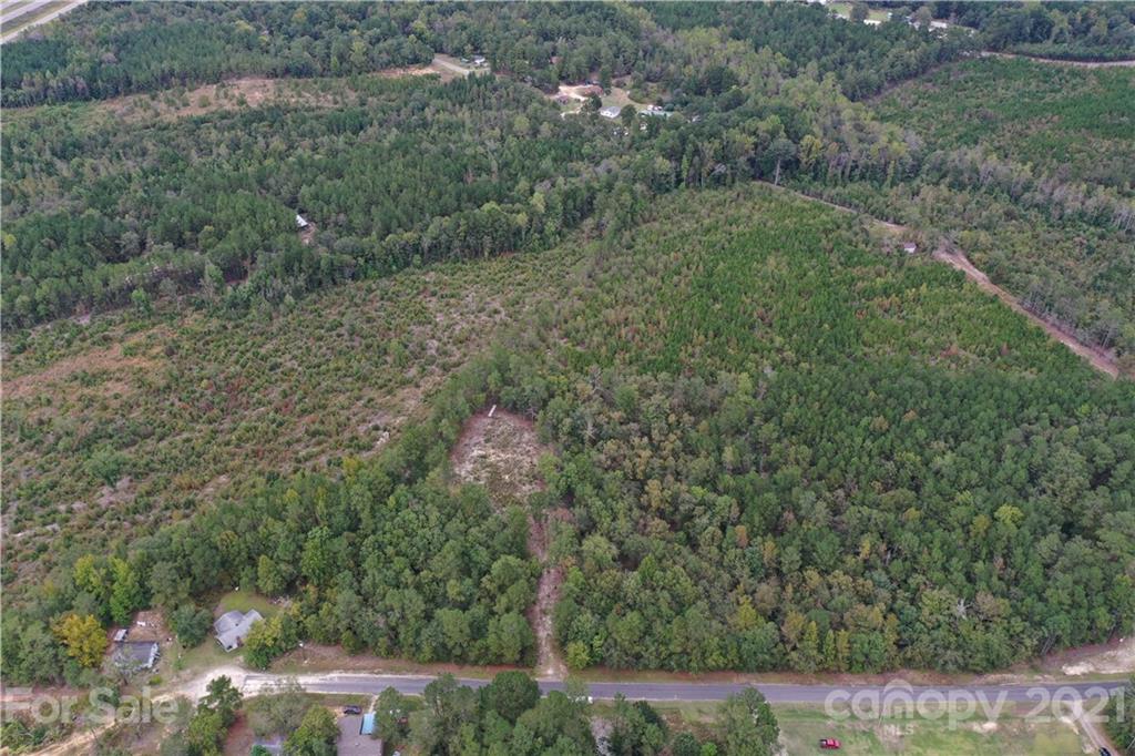 0 Sandy Grove Rockingham, NC 28379 - Photo 8 of 13 a view of a field with plants and large trees