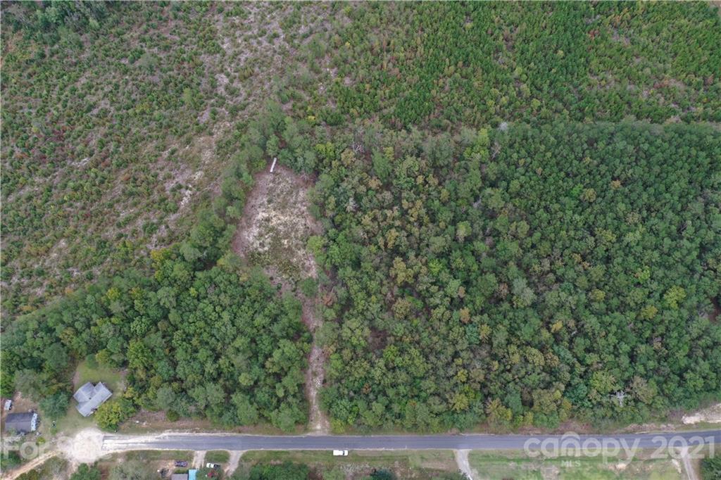 0 Sandy Grove Rockingham, NC 28379 - Photo 9 of 13 a view of a yard with a tree