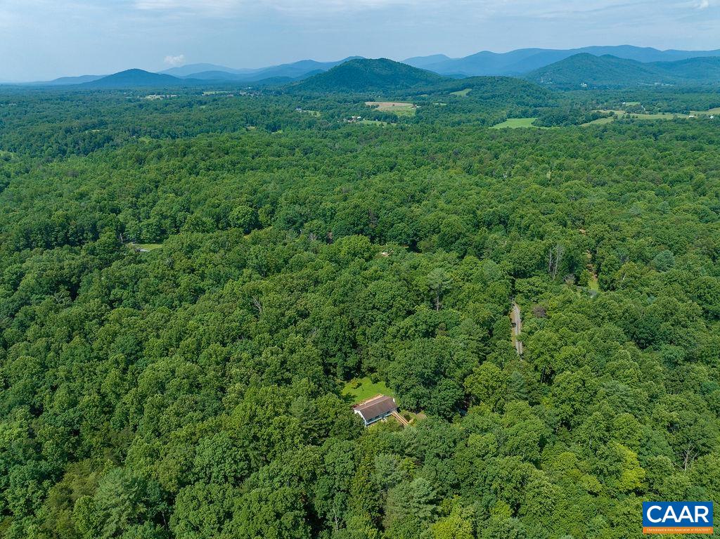 4965 Celt Road Stanardsville, VA 22973 - Photo 36 of 55 a view of a lush green forest with trees and houses