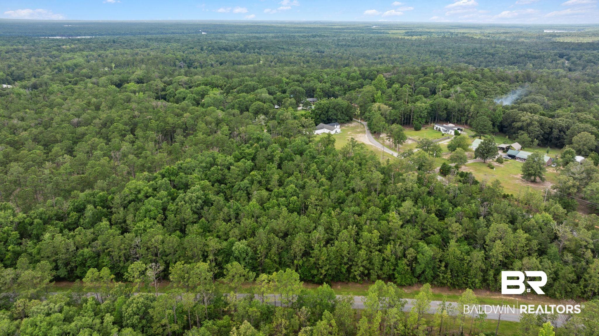 0 Hurricane Road Bay Minette, AL 36507 - Photo 13 of 30