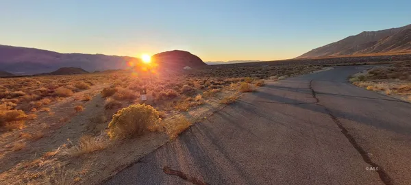 a view of a dry yard