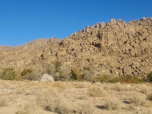 a view of a dry forest