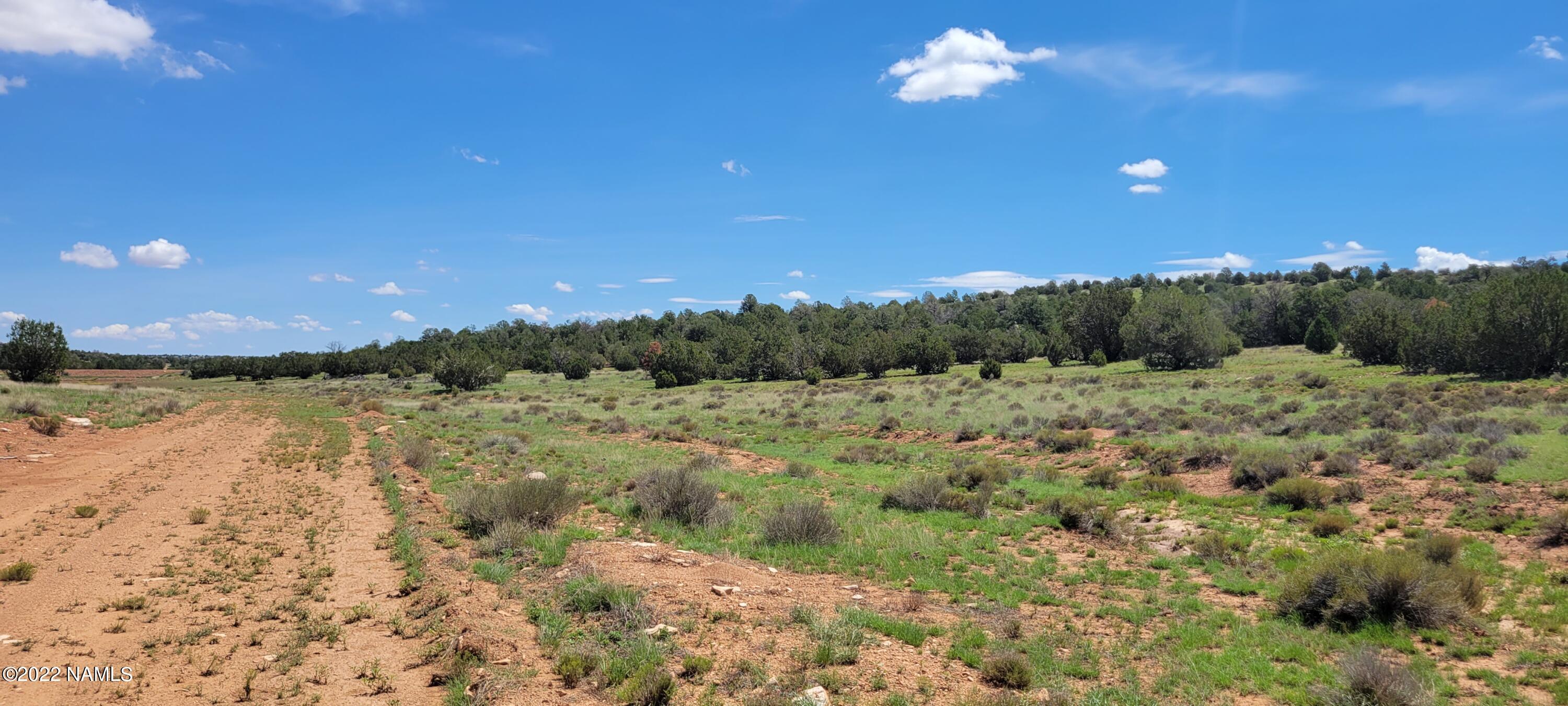 8298 West Red Bluff Road Williams, AZ 86046 - Photo 17 of 23 20220806_112601