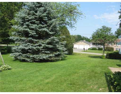 46 Andrea Avenue Waterville, ME 04901 - Photo 22 of 25 Yard/Garden.