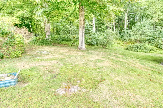 a view of a yard with plants and large trees