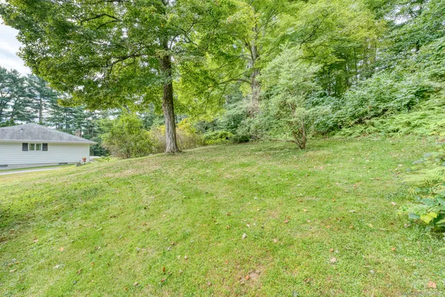 a view of a big yard with large trees