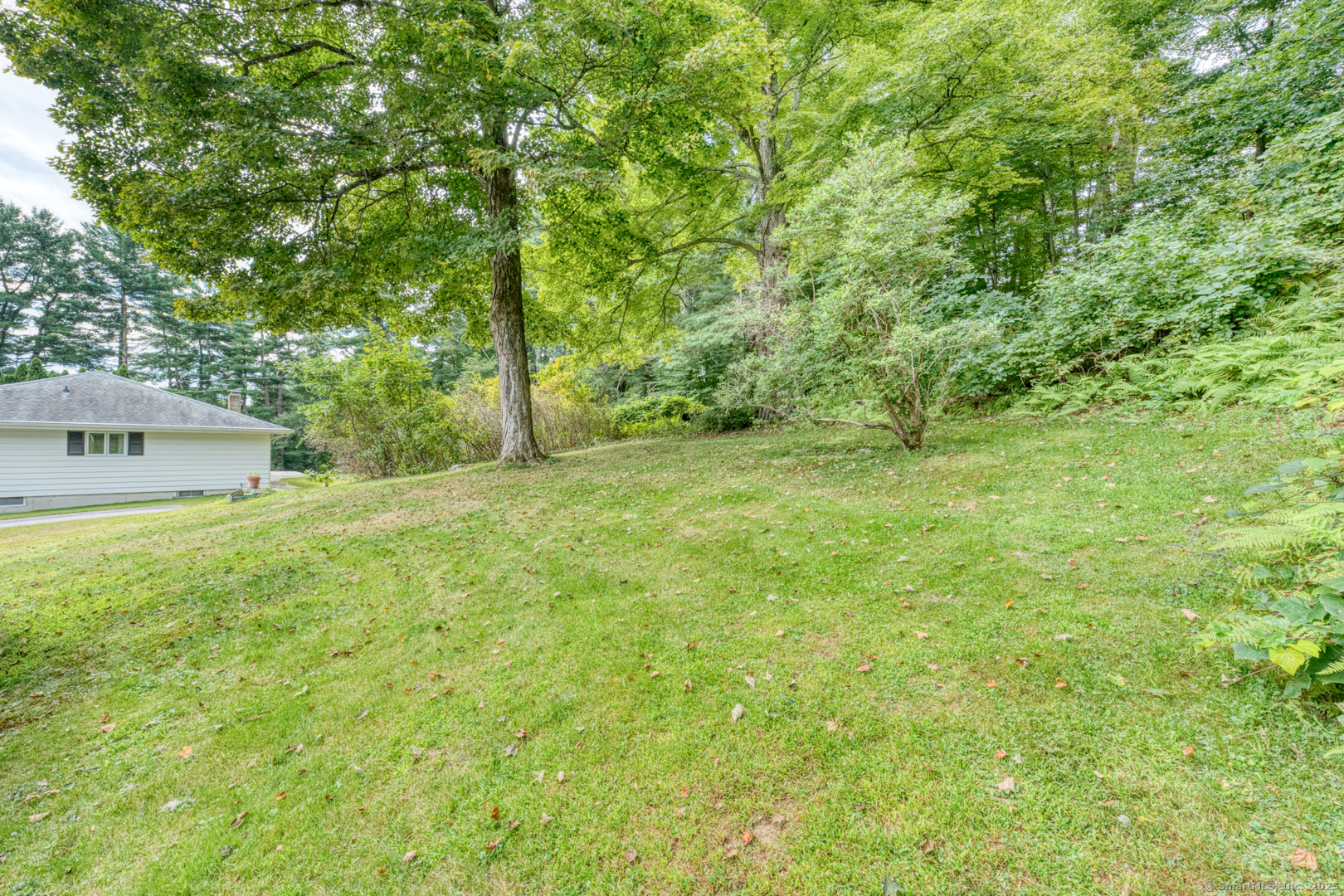 26 Edgarton Road Columbia, CT 06237 - Photo 5 of 35 a view of a big yard with large trees
