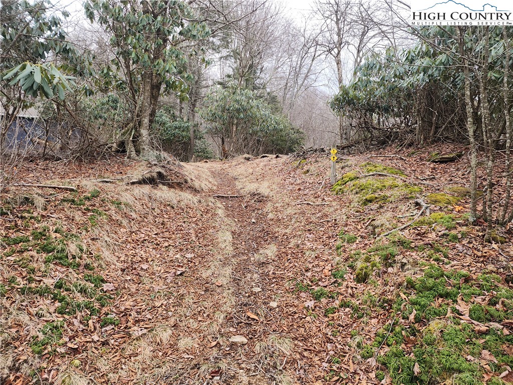 Gumtree Road Elk Park, NC 28622 - Photo 2 of 2 a view of a yard with a tree