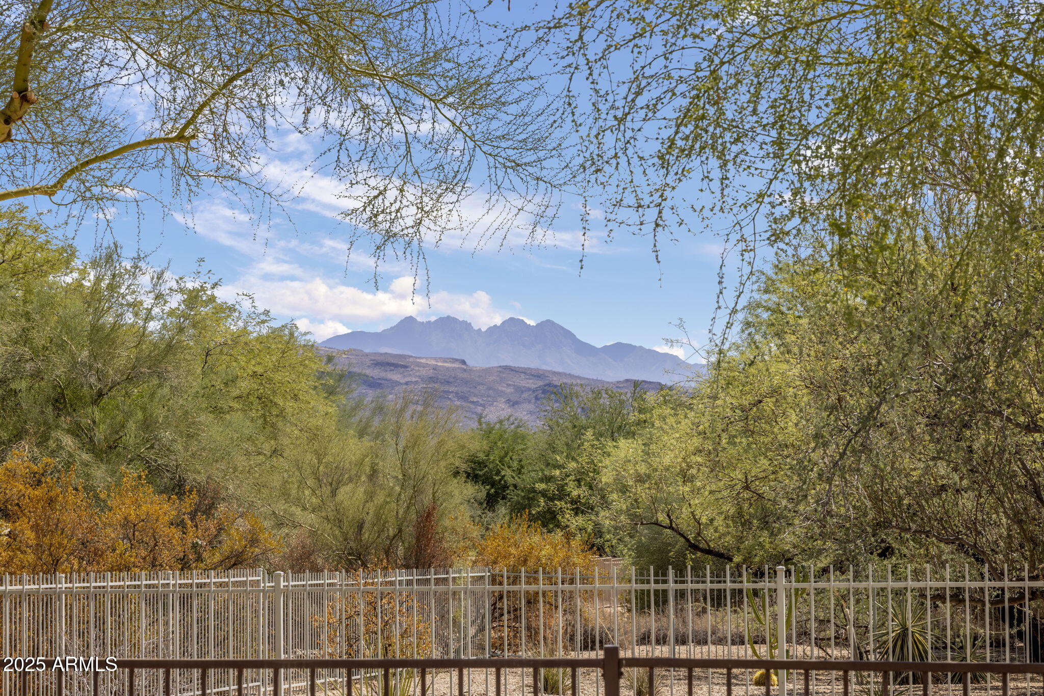 18560 East Horseshoe Bend Rio Verde, AZ 85263 - Photo 30 of 42 a view of a forest with a mountain