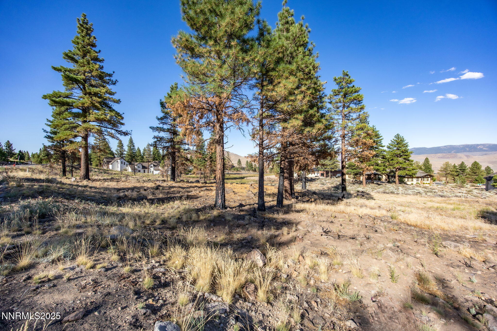 485 Mt Mahogany Court Reno, NV 89511 - Photo 15 of 28 .