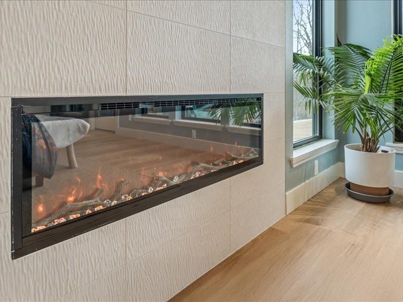 8701 Zebra Crossing Larue, TX 75770 - Photo 17 of 39 Contemporary Fireplace.