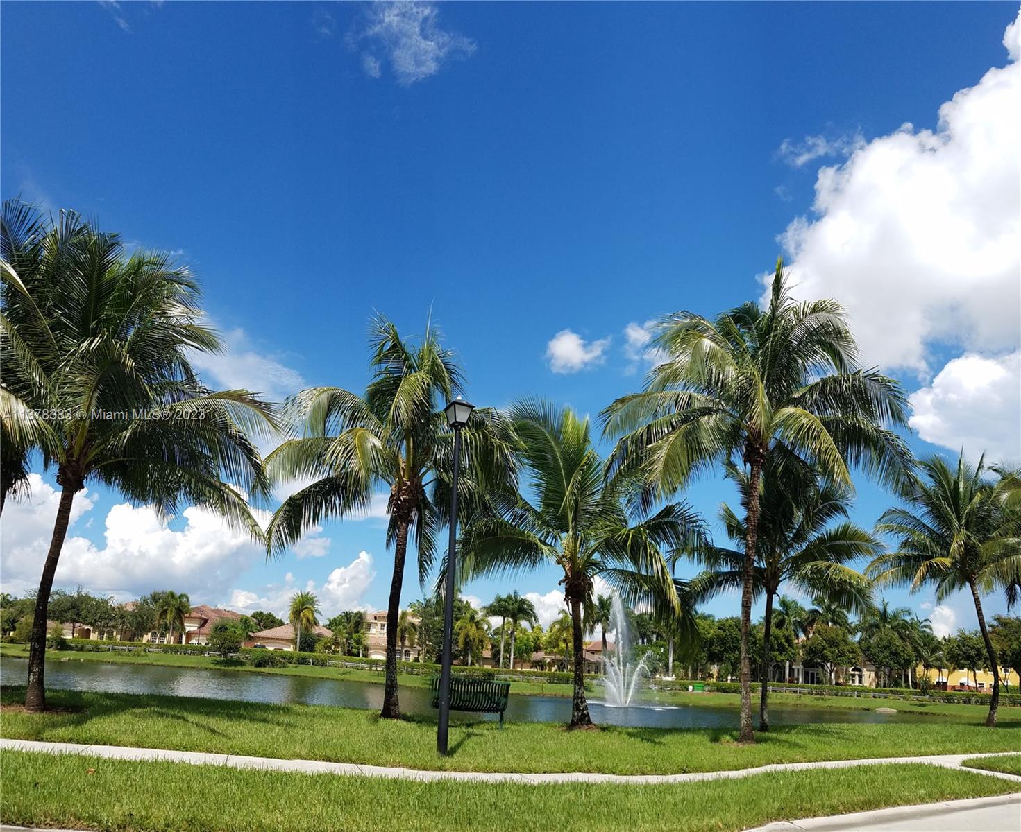 Vizcaya Miramar, FL 33027 - Photo 33 of 35 a view of outdoor space with palm trees