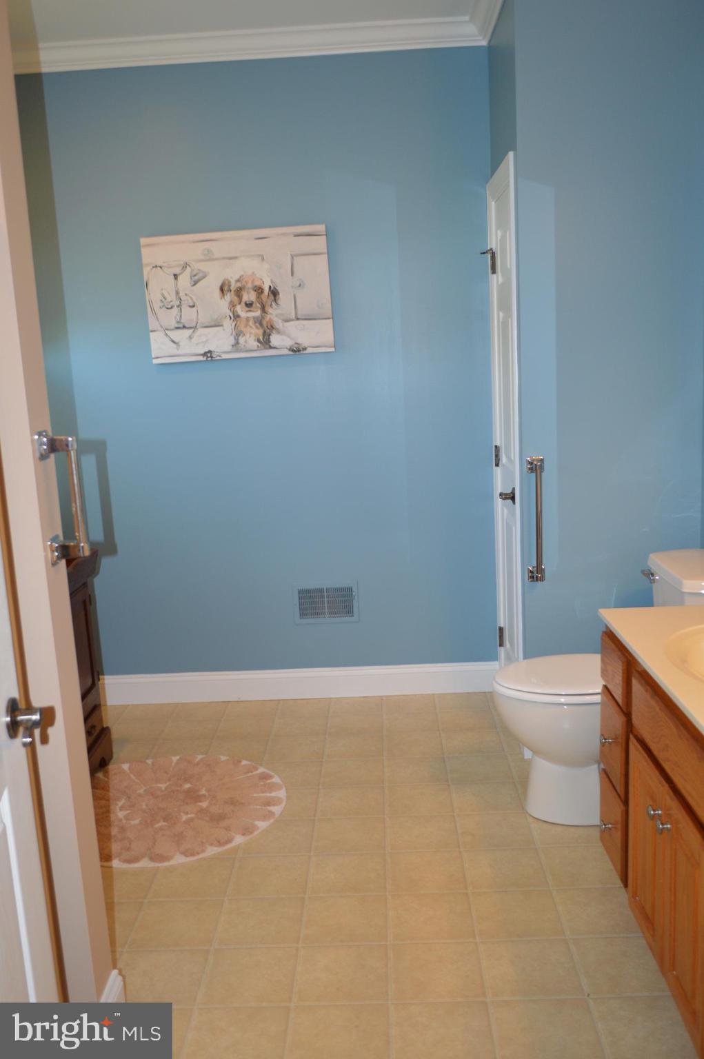 13 Pleasant Road Gordonville, PA 17529 - Photo 23 of 35 Primary Bath