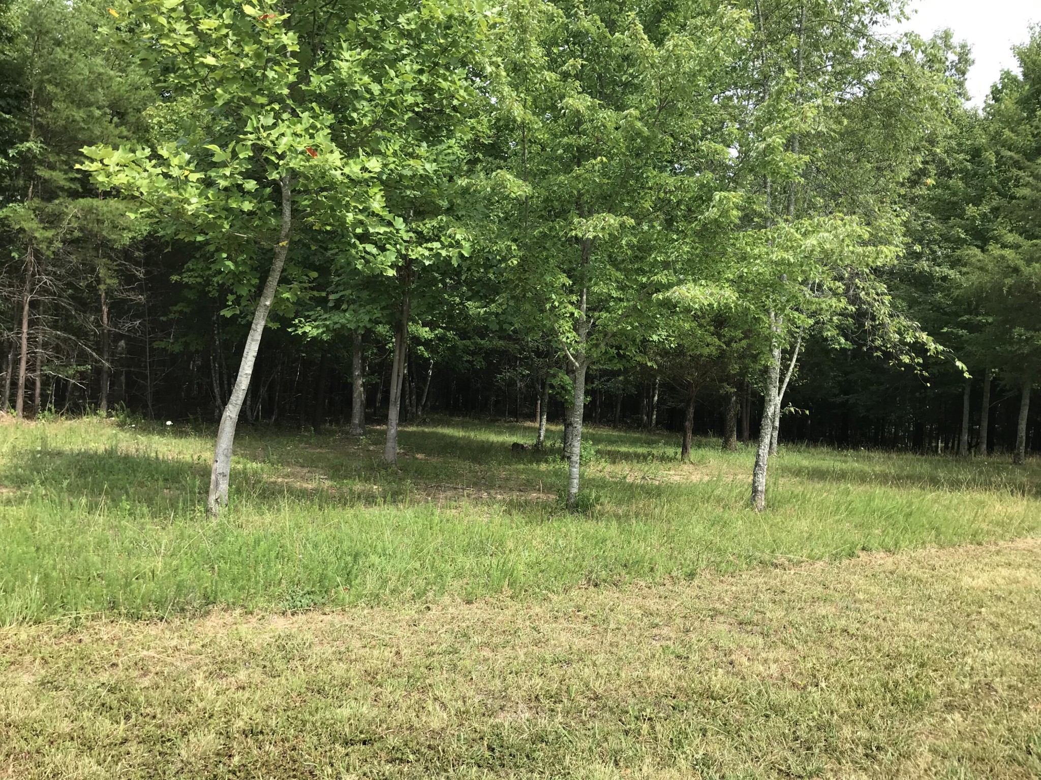 0 Quail Trail Dunlap, TN 37327 - Photo 8 of 36