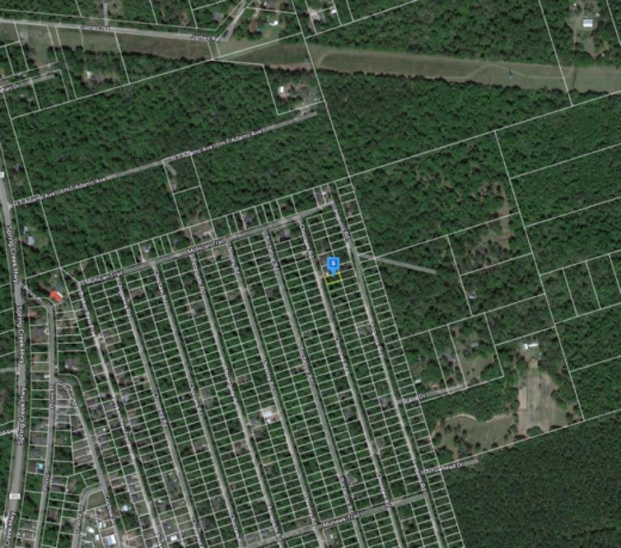 0 Chicopee Road Crawfordville, FL 32327 - Photo 4 of 6 Gallery Image 4