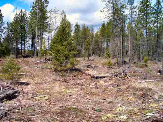 Xxx Lyon And Moss Road Loon Lake, WA 99148 - Photo 1 of 3 Gallery Image 1