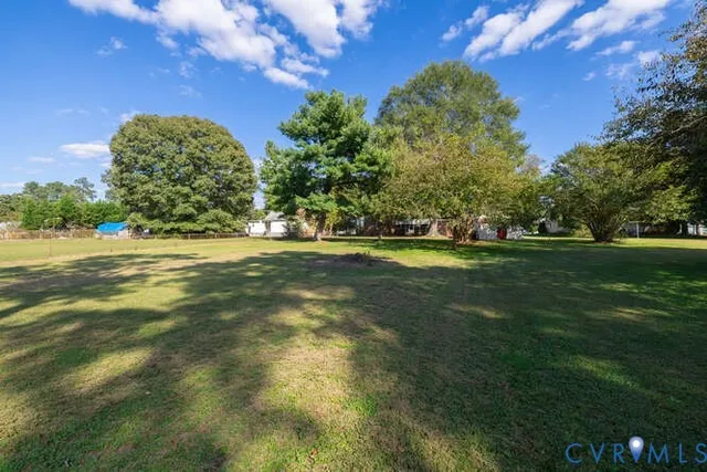 a view of a trees in a yard