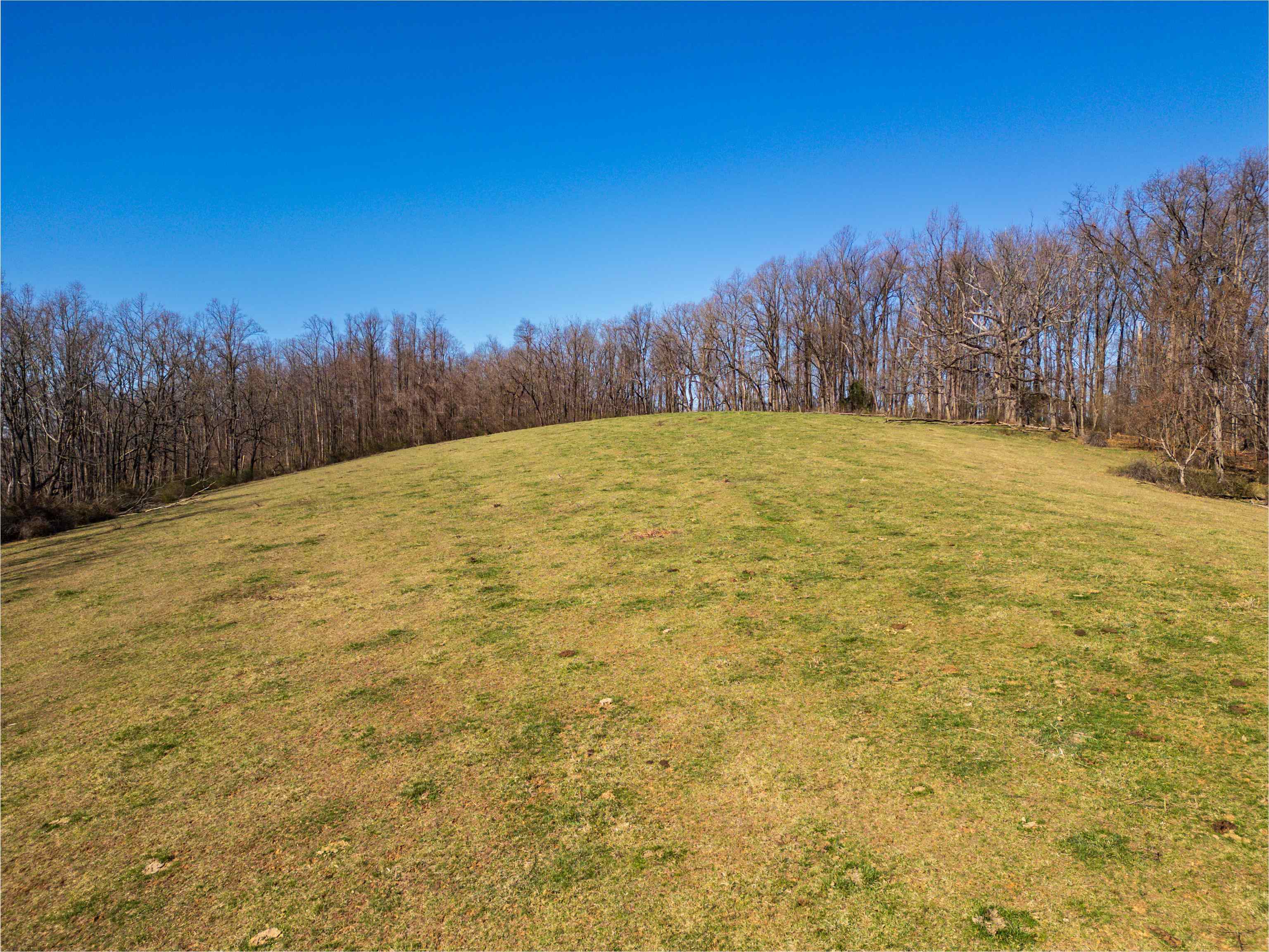 3165 Old Greenville Road Staunton, VA 24401 - Photo 58 of 66