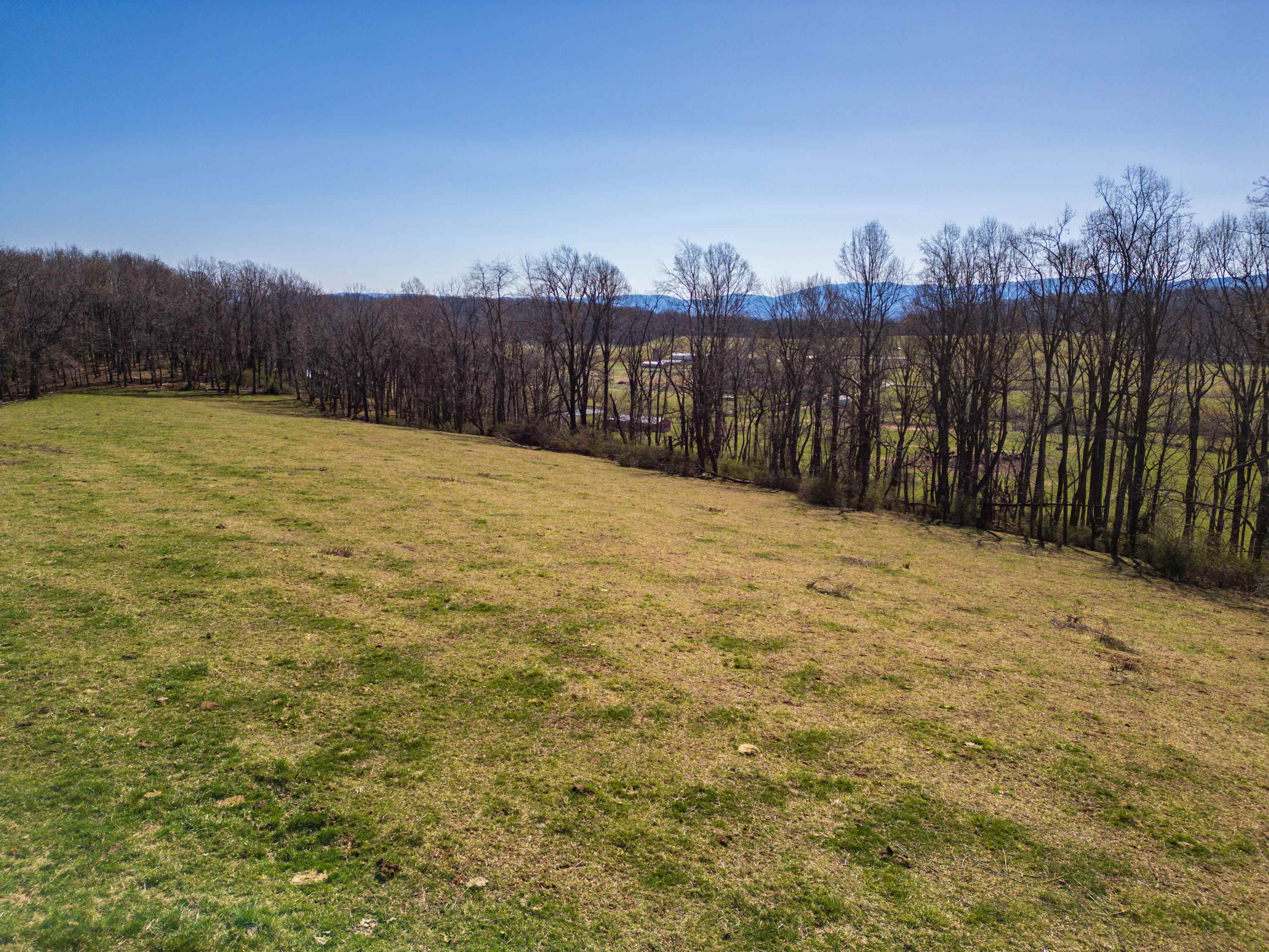 3165 Old Greenville Road Staunton, VA 24401 - Photo 59 of 66 a view of a backyard