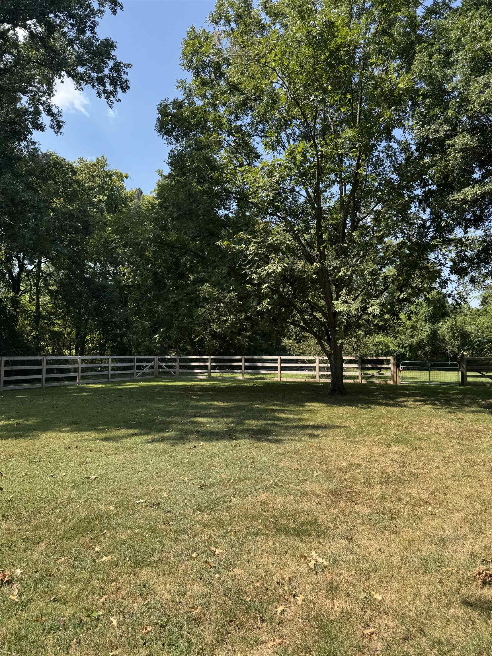 2051 Solo Road Covington, TN 38019 - Photo 28 of 31 a view of a lake view