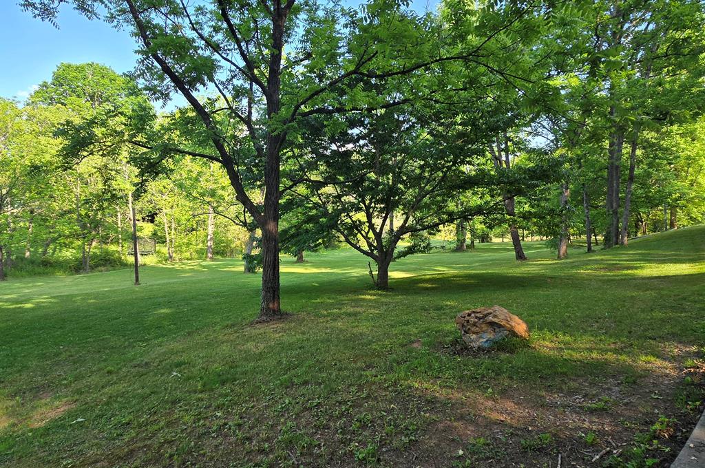 3800 Cutcane Road Mineral Bluff, GA 30559 - Photo 62 of 68 a backyard of a house with lots of green space
