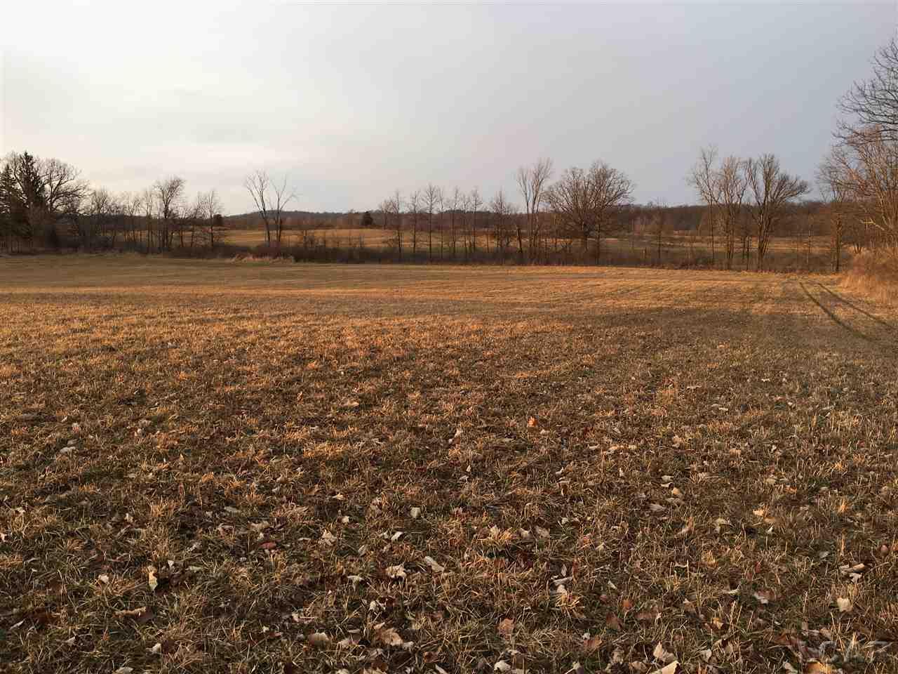 0 Hudson Road Manchester, MI 48158 - Photo 1 of 13 31287315.JPG