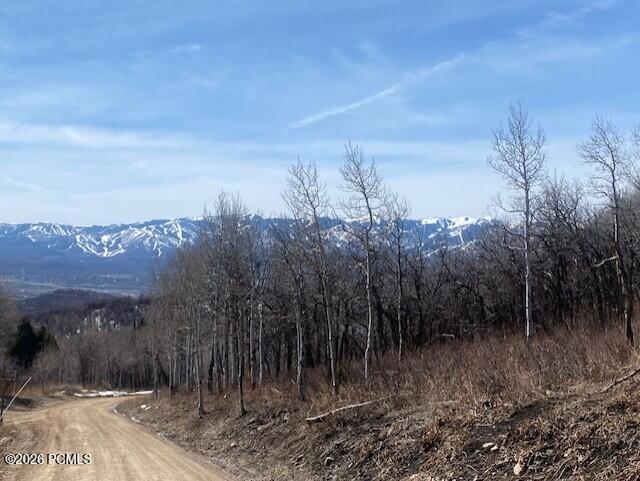 2604 South Forest Meadow Road Coalville, UT 84017 - Photo 27 of 28