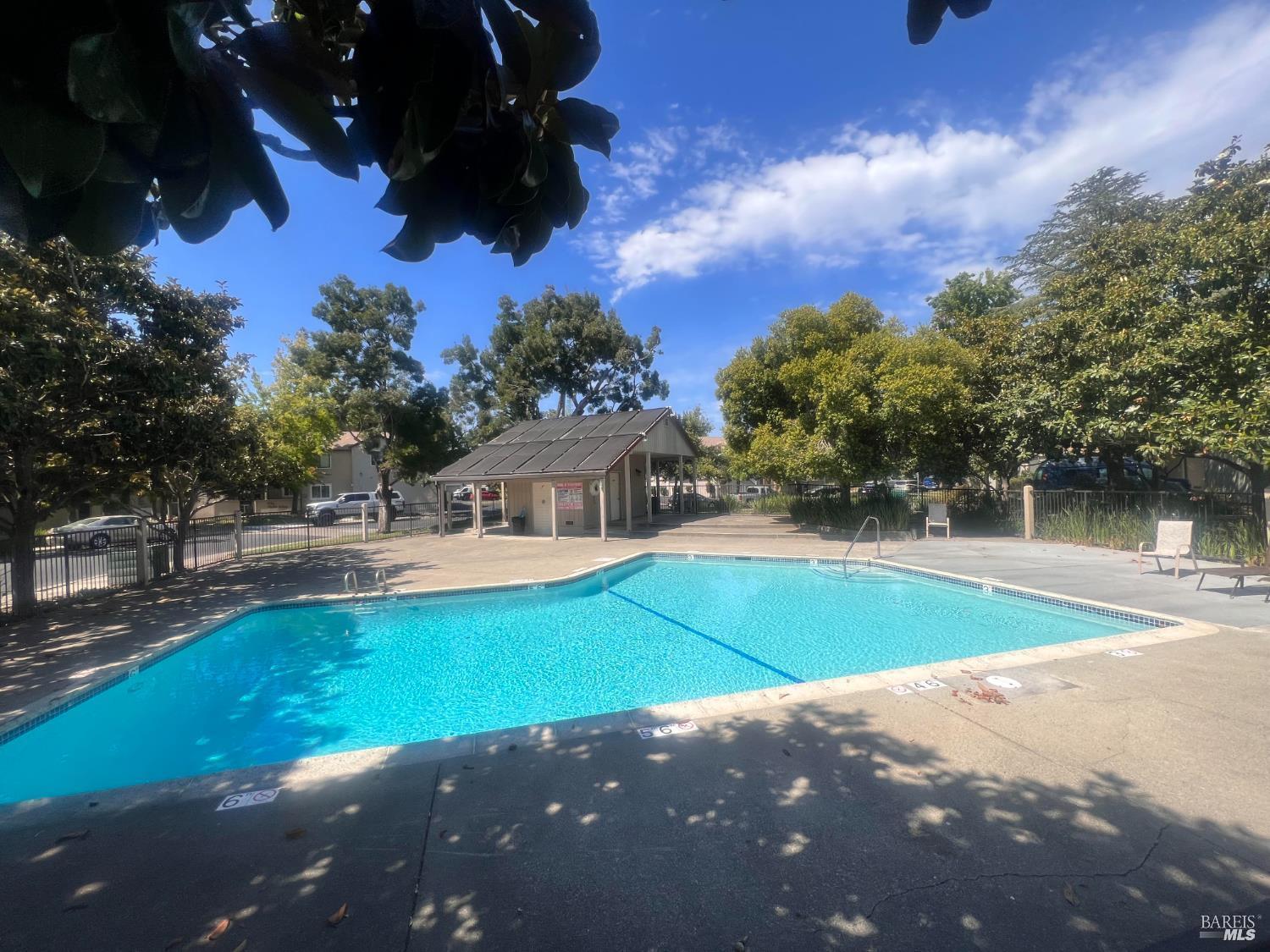 2528 Westberry Drive Santa Rosa, CA 95403 - Photo 33 of 37 a view of a big yard with palm trees