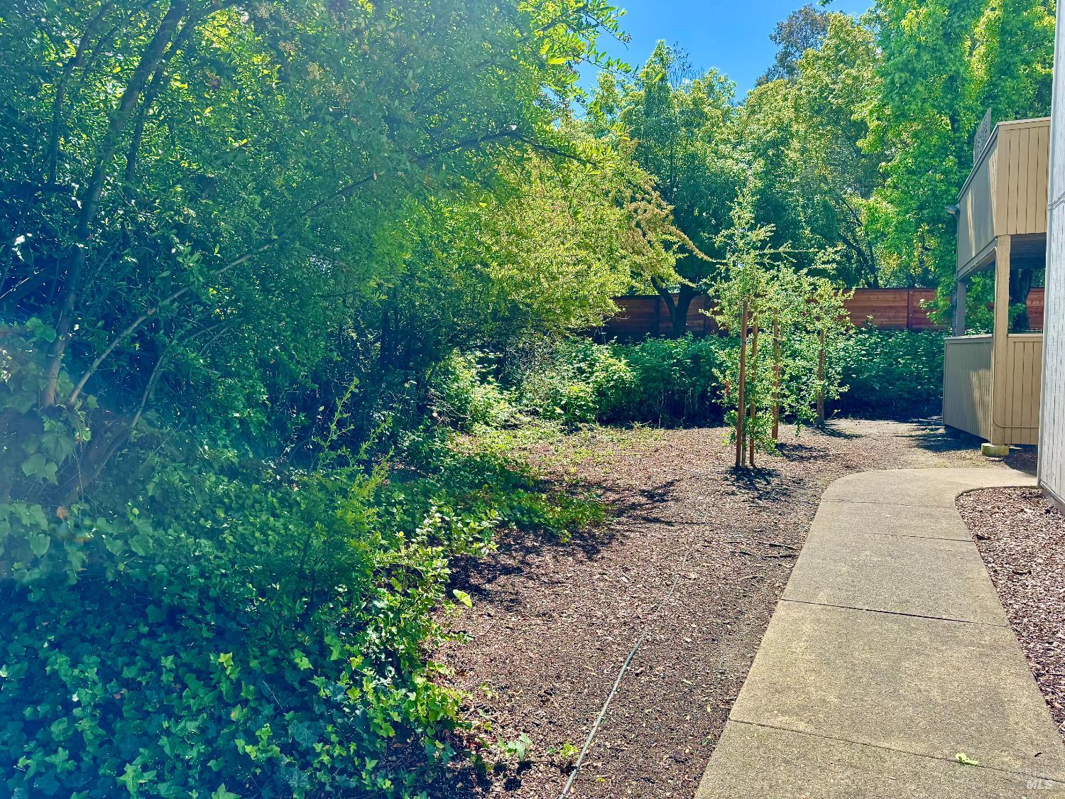 2528 Westberry Drive Santa Rosa, CA 95403 - Photo 35 of 37 a view of a backyard