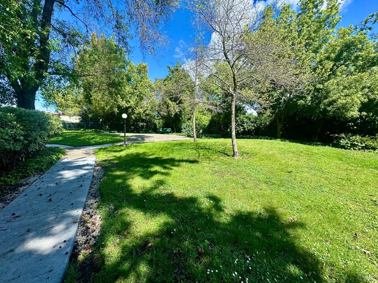 2528 Westberry Drive Santa Rosa, CA 95403 - Photo 36 of 37 a view of an house with backyard and trees