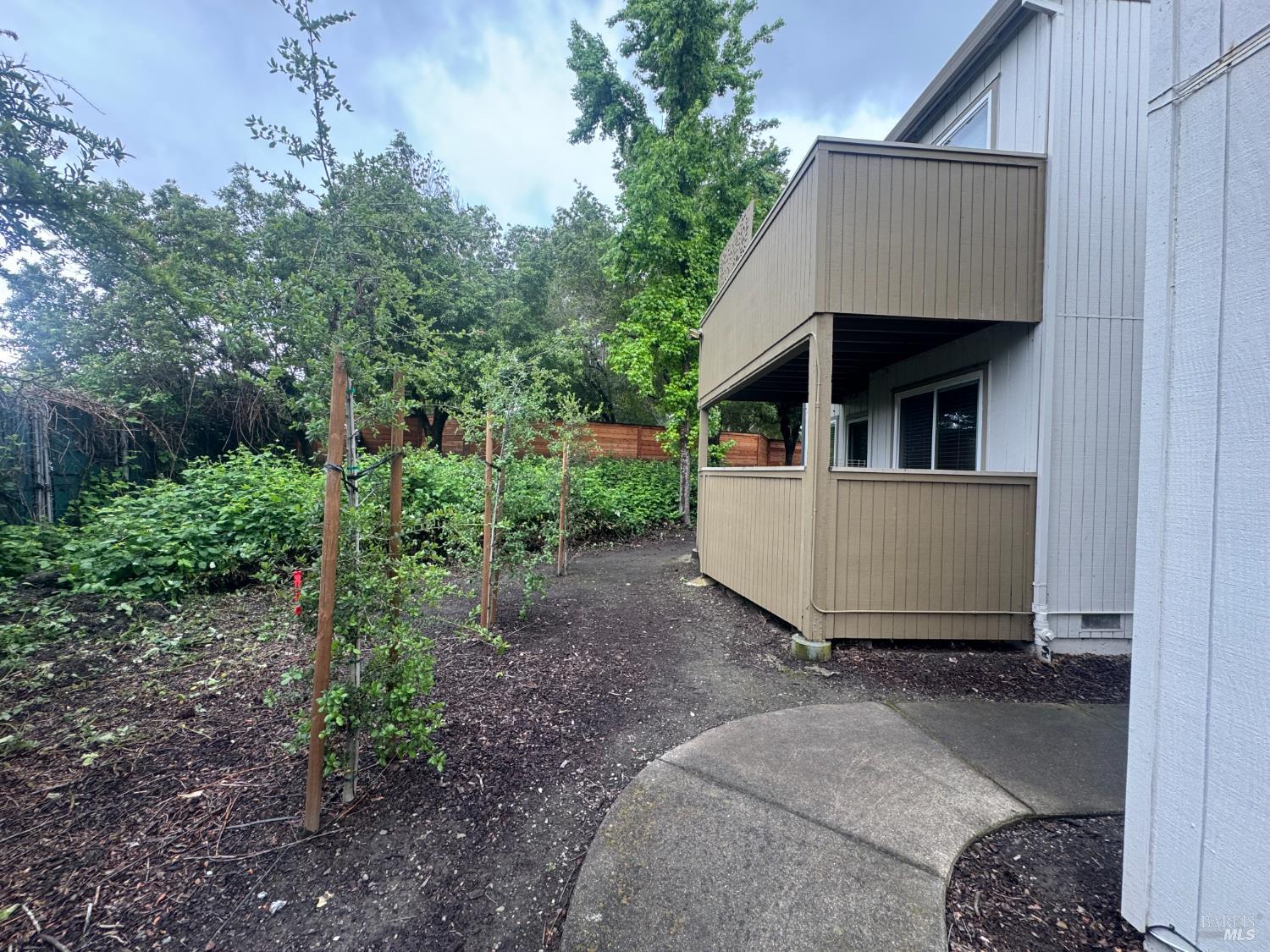 2528 Westberry Drive Santa Rosa, CA 95403 - Photo 6 of 37 a view of a backyard with potted plants and large tree