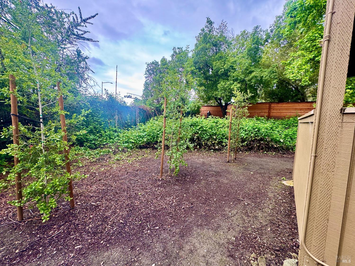 2528 Westberry Drive Santa Rosa, CA 95403 - Photo 7 of 37 a view of a garden with plants and large trees