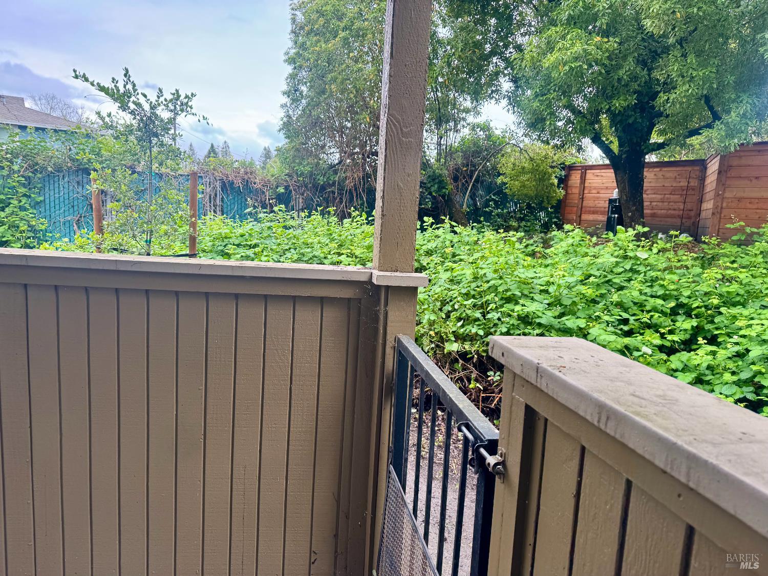 2528 Westberry Drive Santa Rosa, CA 95403 - Photo 10 of 37 a couple of flower plants in front of a yard