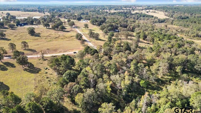 a view of a park with large trees
