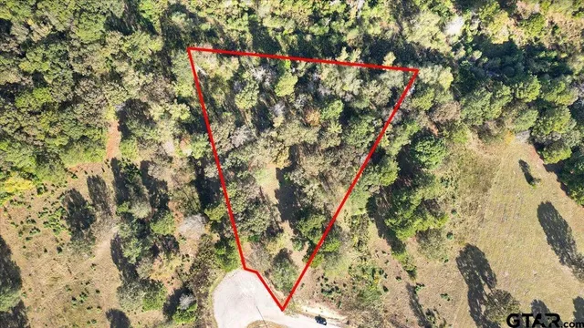 a view of a wooden house with a yard and trees
