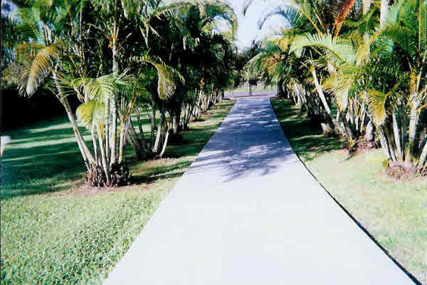 16-1738 Uhini Ana Road Mountain View, HI 96771 - Photo 5 of 5 Gallery Image 5