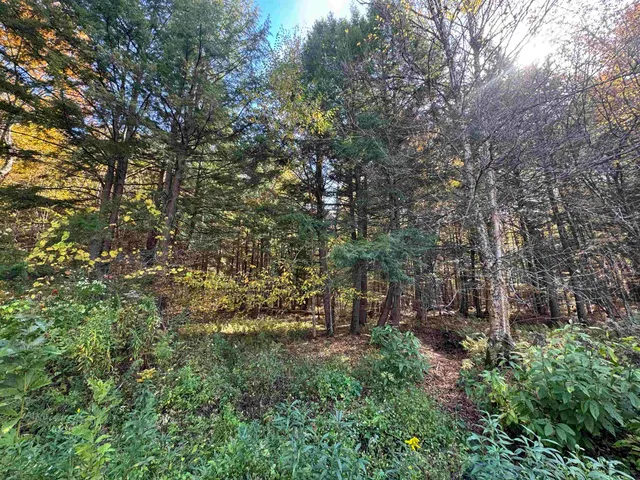 $65,000 | 0 Green Hill Lane, Wallingford, VT 05773