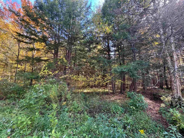 $65,000 | 0 Green Hill Lane, Wallingford, VT 05773