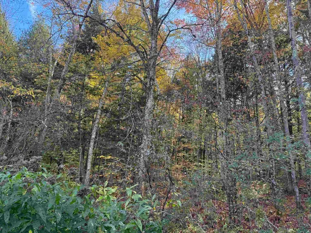 $65,000 | 0 Green Hill Lane, Wallingford, VT 05773