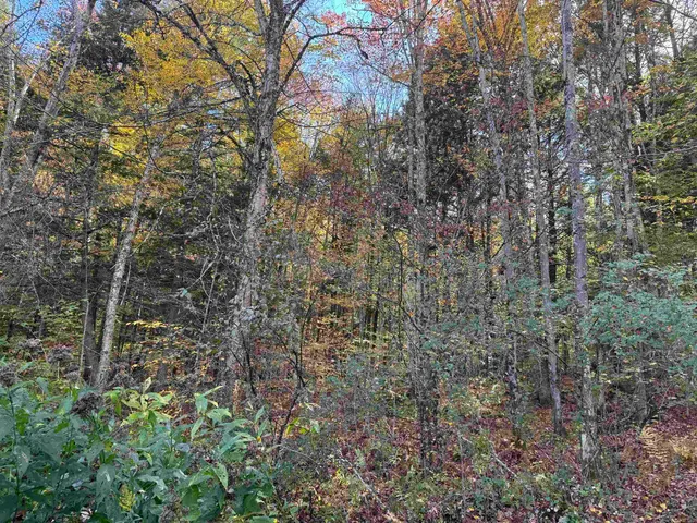 $65,000 | 0 Green Hill Lane, Wallingford, VT 05773